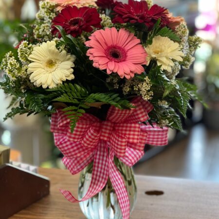 Bright Mixed Gerber Daisies