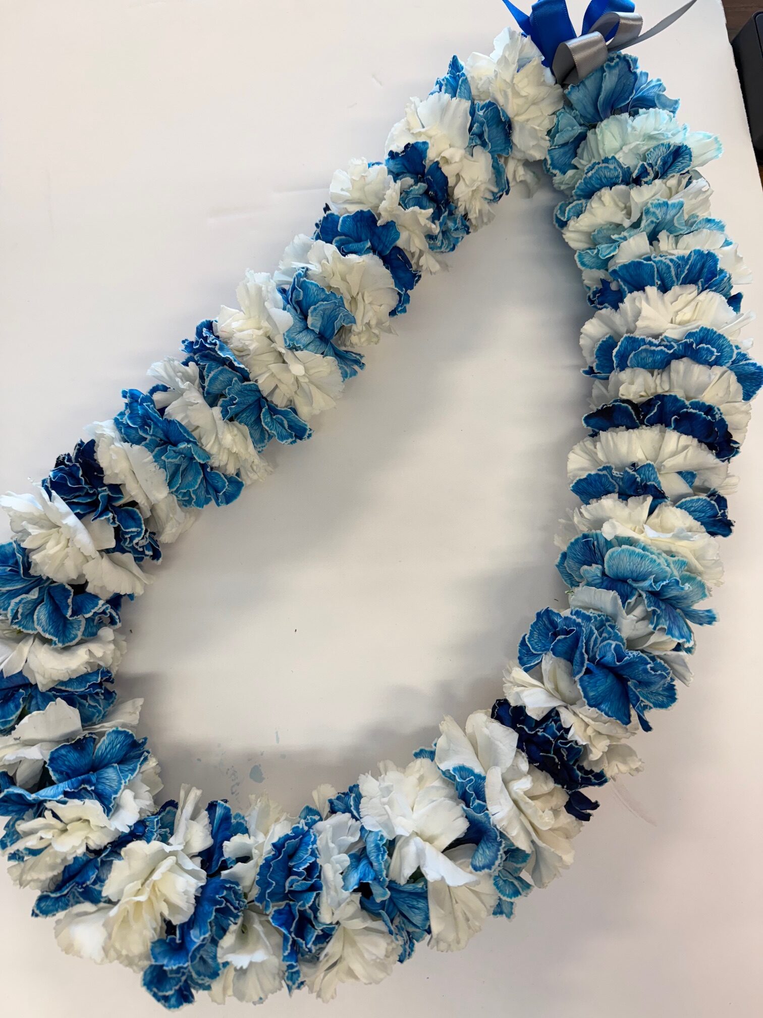 Blue And White Carnation Lei