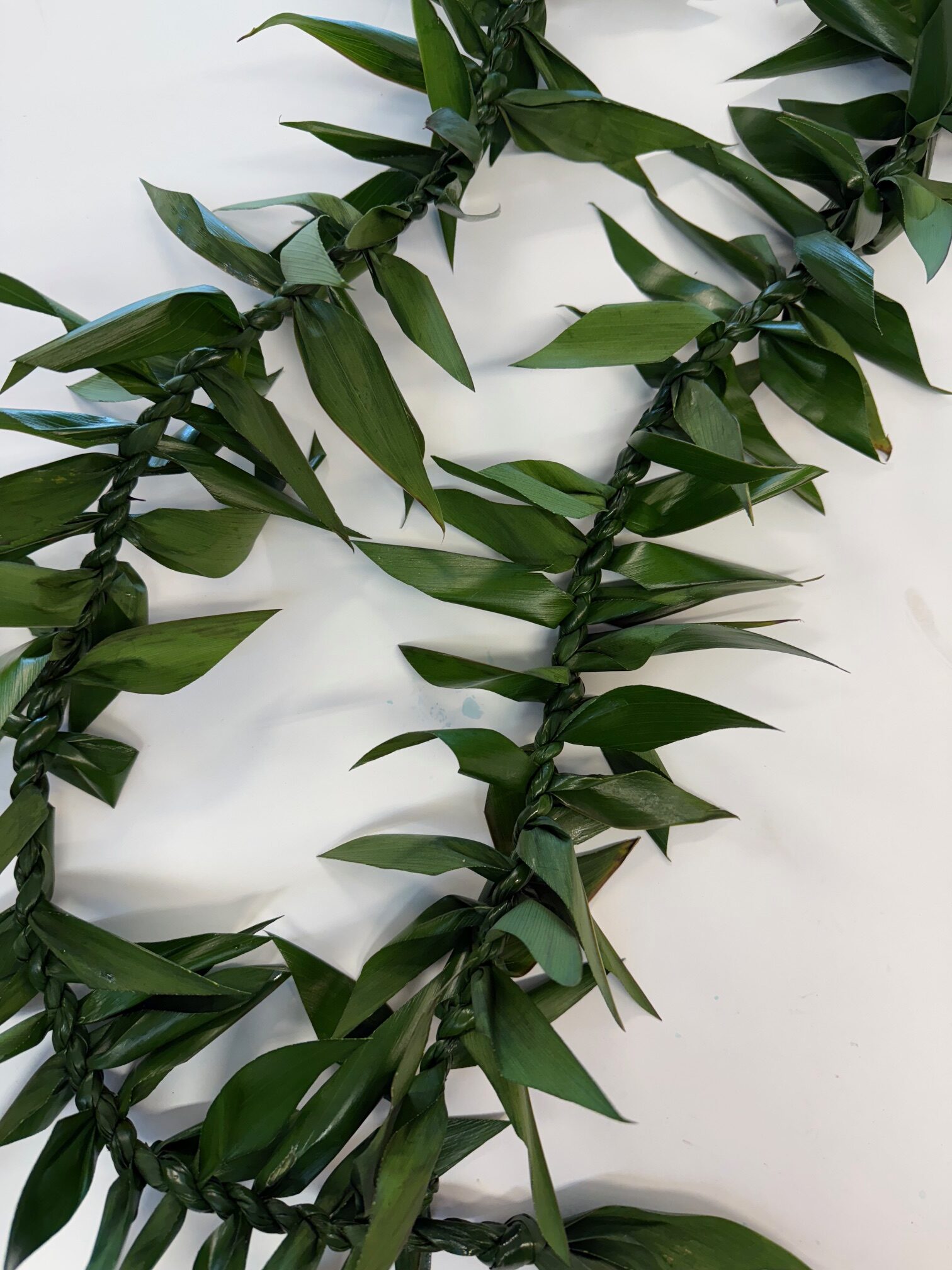 Ti Leaf Lei